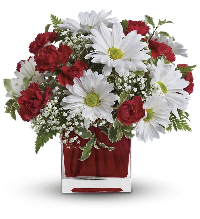 Red And White Delight by Teleflora - As Shown