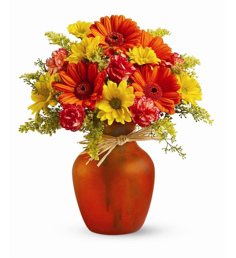Teleflora Beautiful Blooms Flower Arangement - As Shown